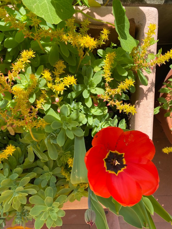 IxDUB6WFSSWmE3nla5oBKw