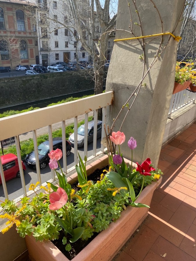 QKr0EpTPQEeyTIwxti9GiQ