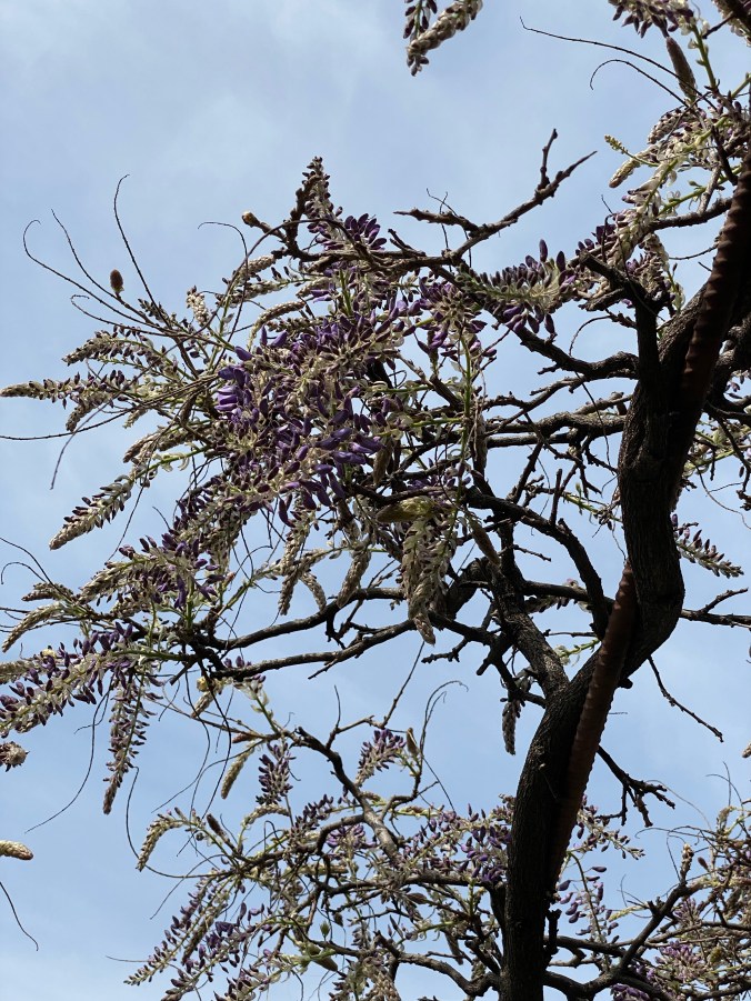 rR+4V10OQISpOvSbvdLJ7A