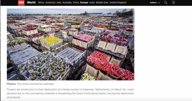 Screen Shot 2020-03-20 at 23.41.13