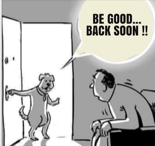 Screen Shot 2020-03-24 at 22.53.18