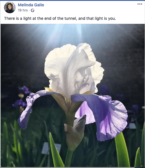 Screen Shot 2020-03-31 at 11.05.05