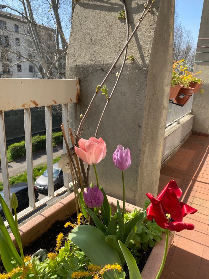 Sp8QXEl3TVut+E1Lf4gliQ