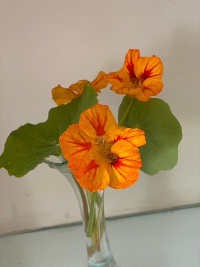 Ty2yu62RTK6Jbn0ImqpIiQ