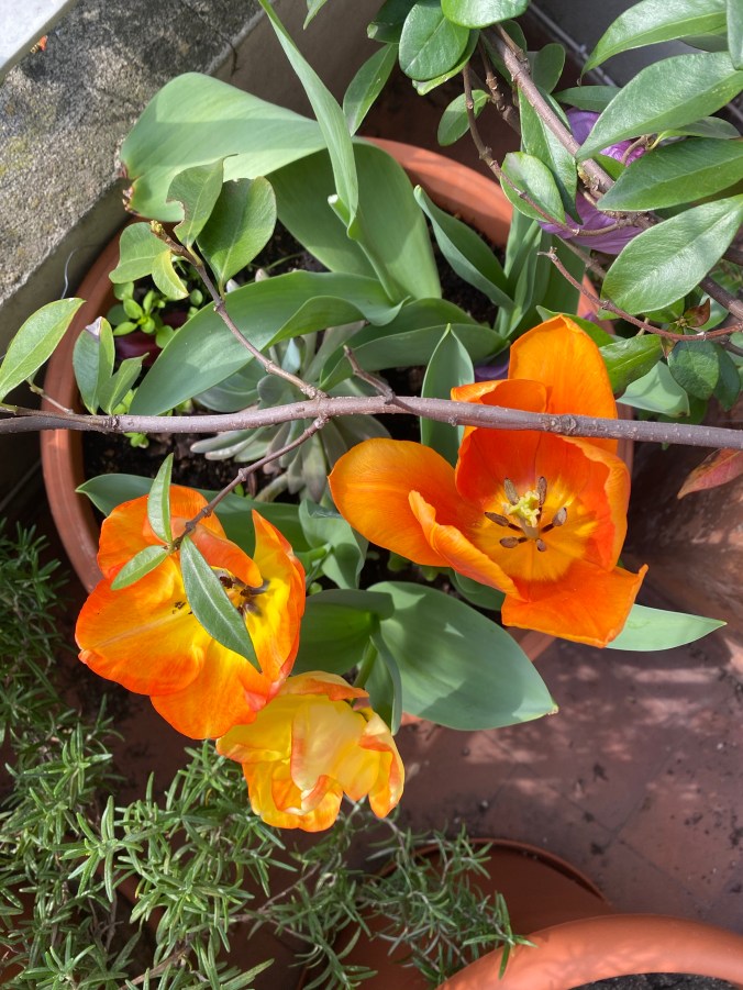 UOd1f9ofSDOP5OmsUdIpqw