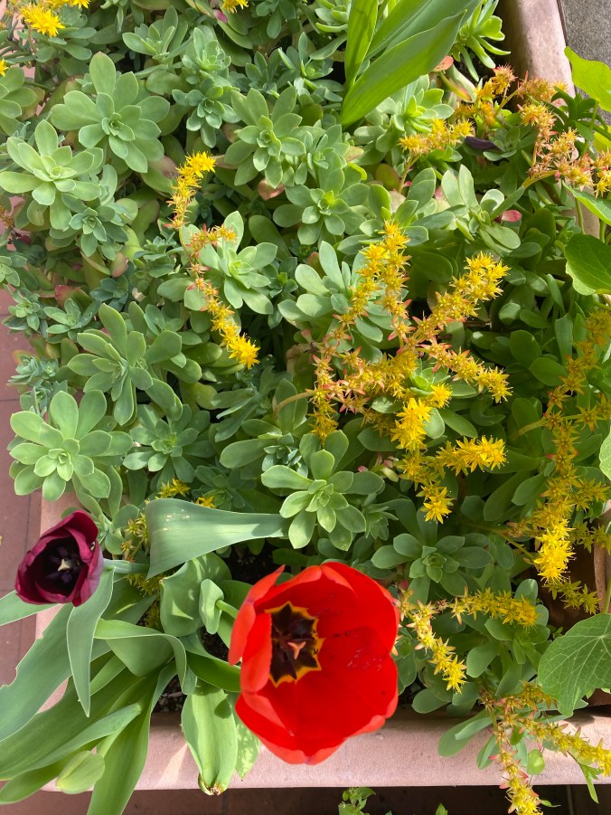 vdOm4UlhTymD0viRN%+tUg