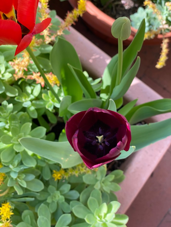 wiGrMCrwSNOiQFj6vRVnog