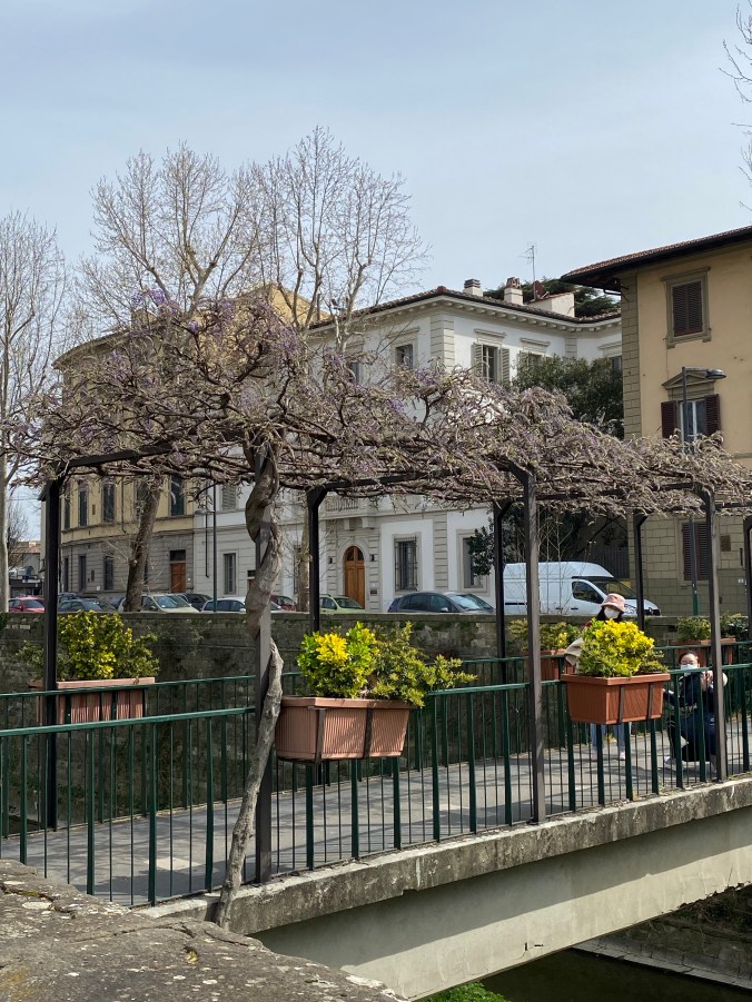 ZAeE6sM5QeOi7t7MjcmuOw