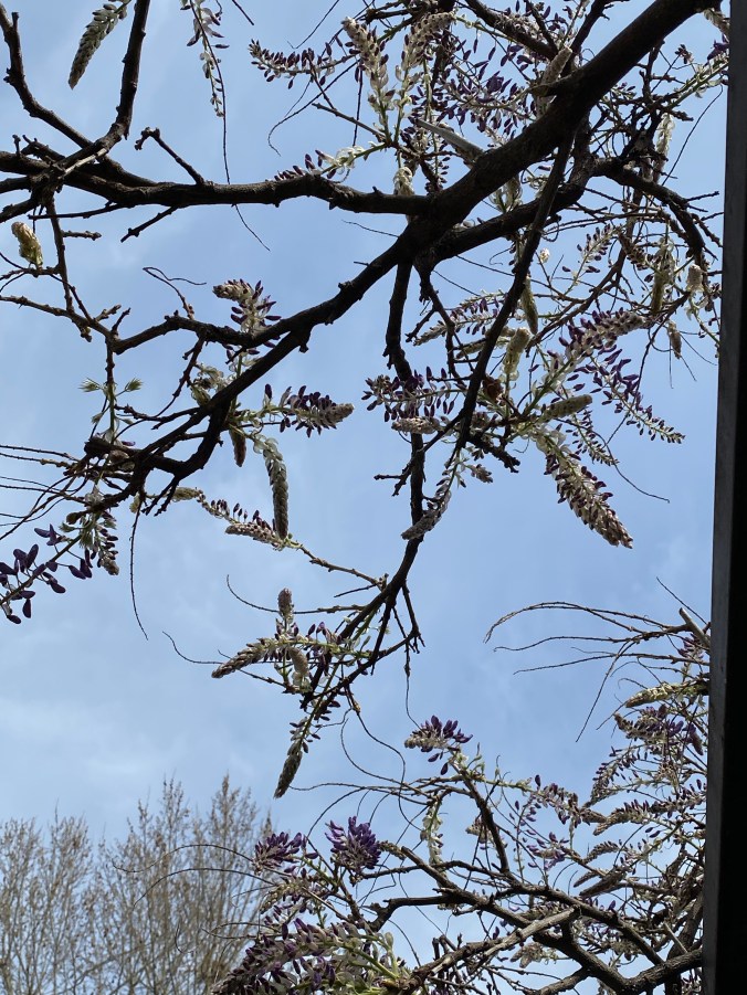 ZAp7BqB1Qoa%hm5QZSkKdQ