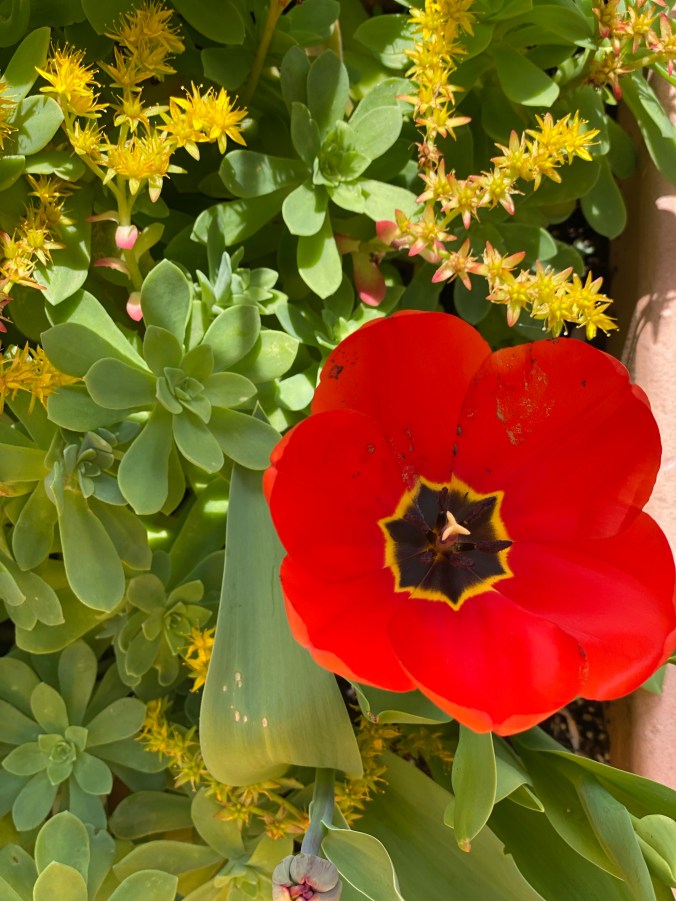 ZESiVaIfQTaoCYiB%raf0A