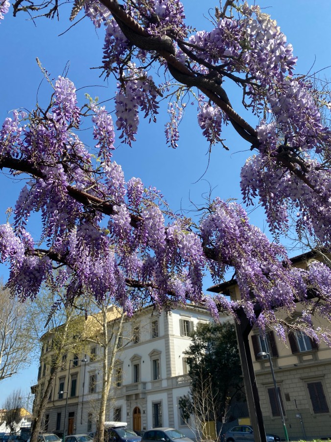 0gL%uFQnQziM4thTPsU4fQ