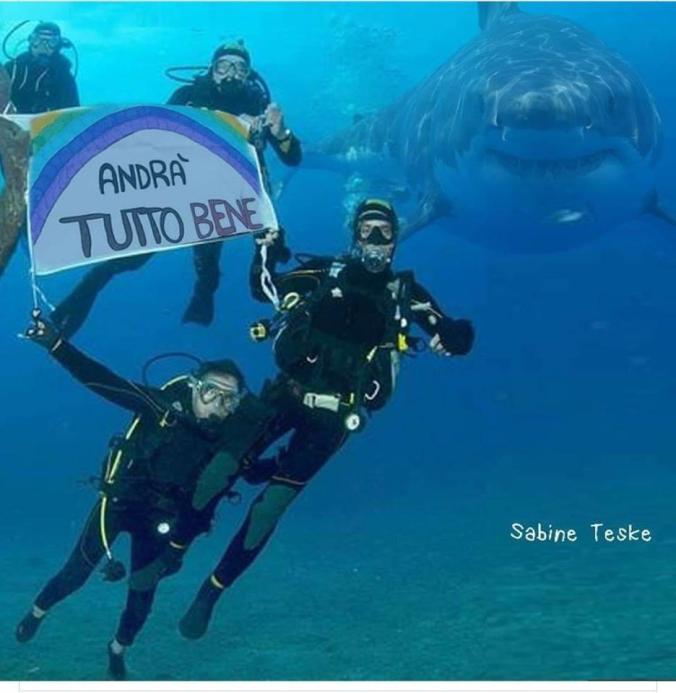 2bef69fa-f467-4275-b12e-5cf464357ec1