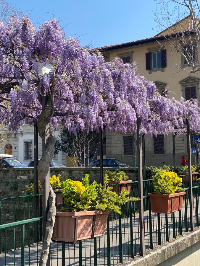 8BjDZFfGSGiu%xWdAHhlyw