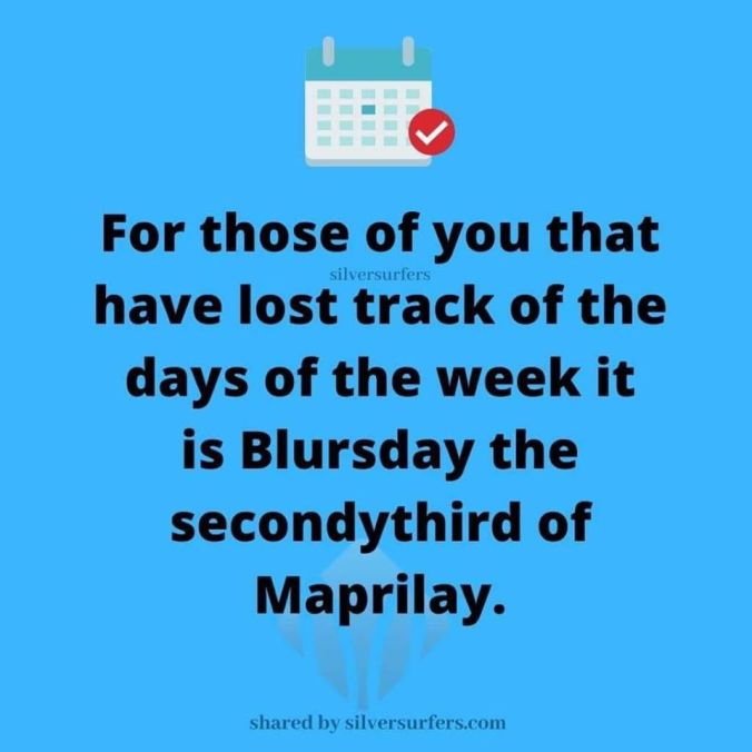 92686085_10217378342753782_6251274991808020480_o