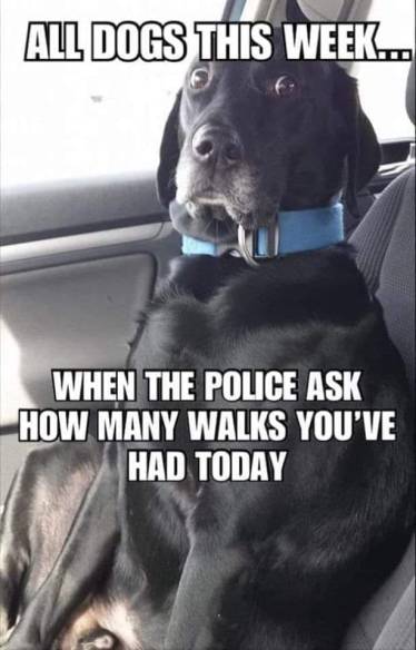 93378166_10217414203290273_7455396986234077184_n