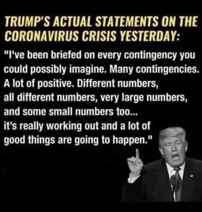 93409457_3393768930636586_8210092576309510144_n