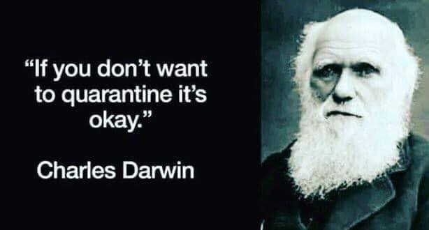 93625926_1140881906262529_2121156911519760384_n