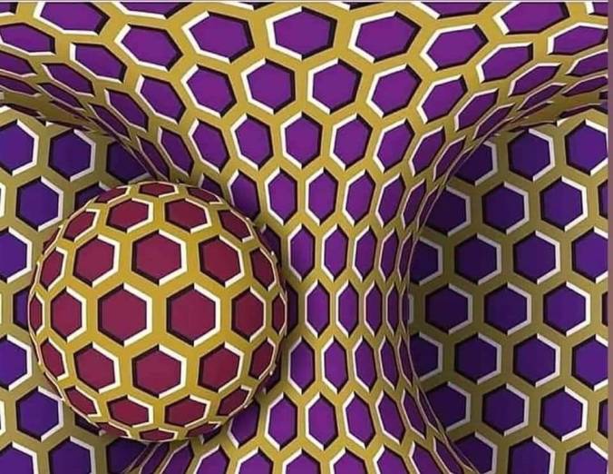 93857446_1668885763263529_2725724084427030528_n