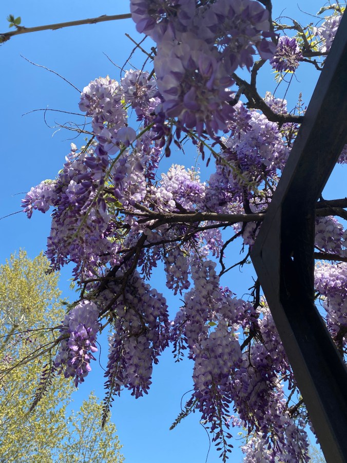 9vx55O6IRYycyW2zF27qrA