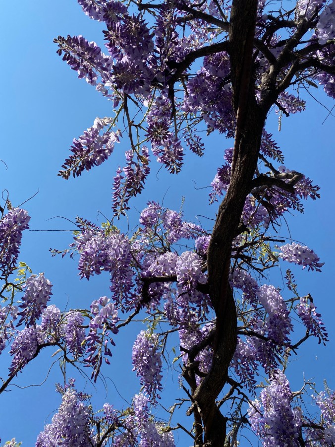 A0T7OeHwTOWgi4amCEuf7Q