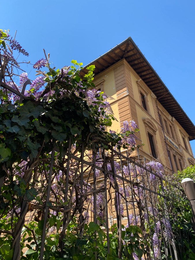 aYrWPb5%SlS+q+EnZhU1LQ