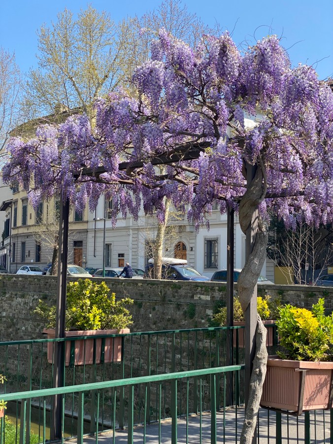 BBb%n86aSbe8zOVHQ4CSdA