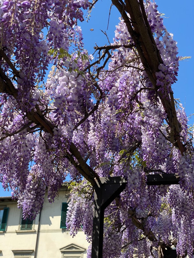 bmjwNEGaQ8WTgtYtvKGyDA