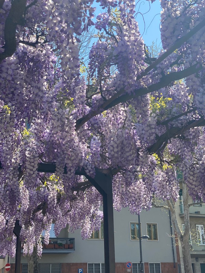 cjA7b1r0TYu5J72aGW+uiQ