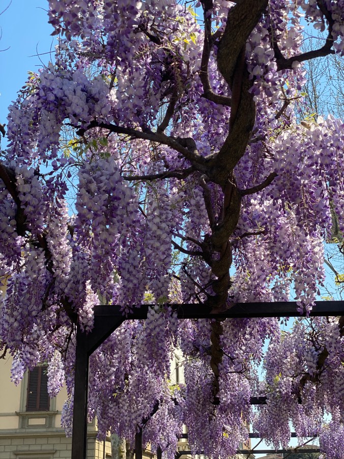 d5B6tF9oS5WG+YVV46EHlA