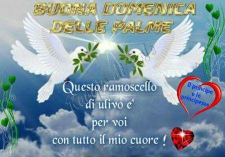 e8b806bc-c49f-400e-af7c-bac14215eb88