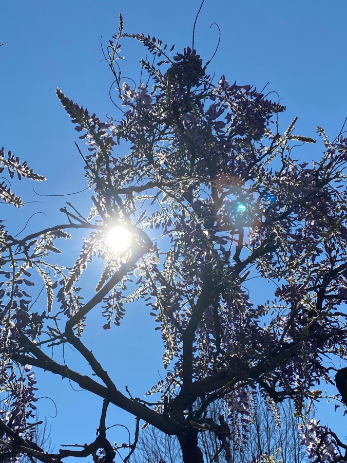 gsSGjP9vQ5+DqnAxXJttnA