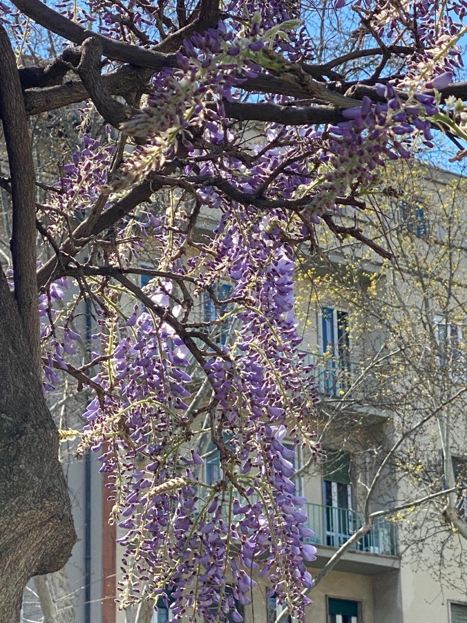 hBpCOQ0XRVuLVmGS%AXWxQ