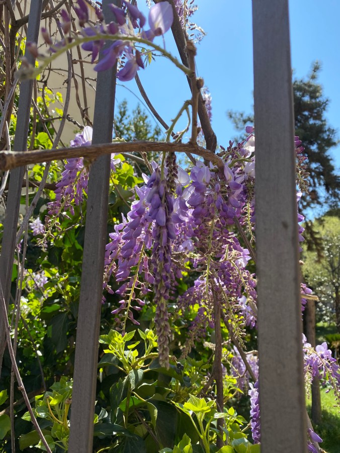 isvZlJNxShepk96mgrgqGA