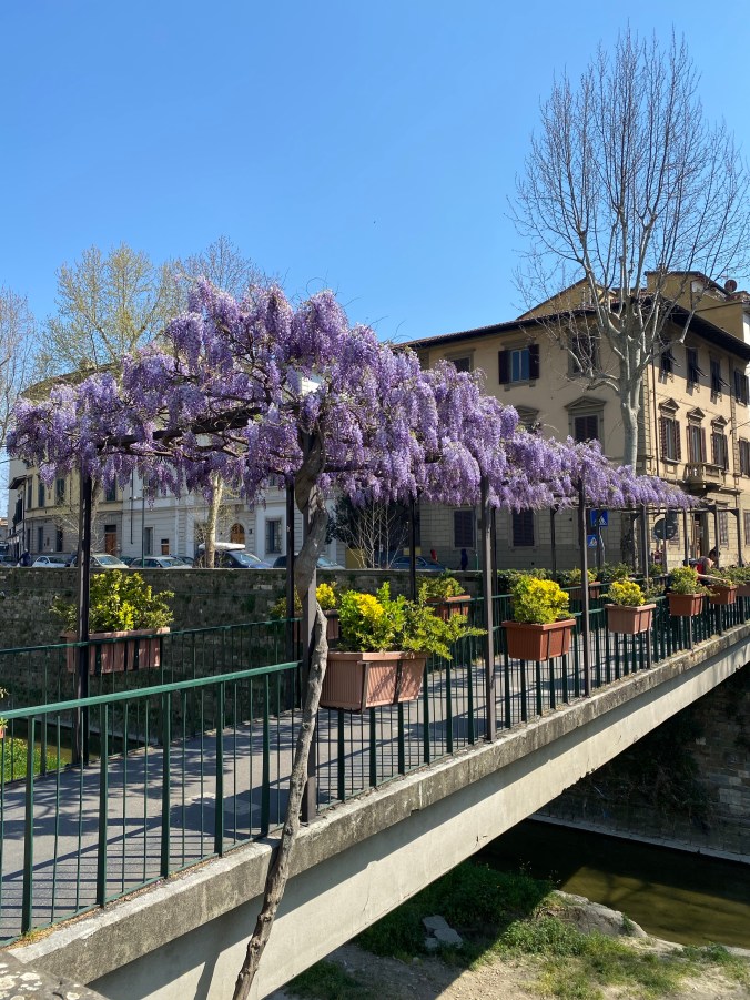 K7tOUtLQTaqXQFaWsX0fFw