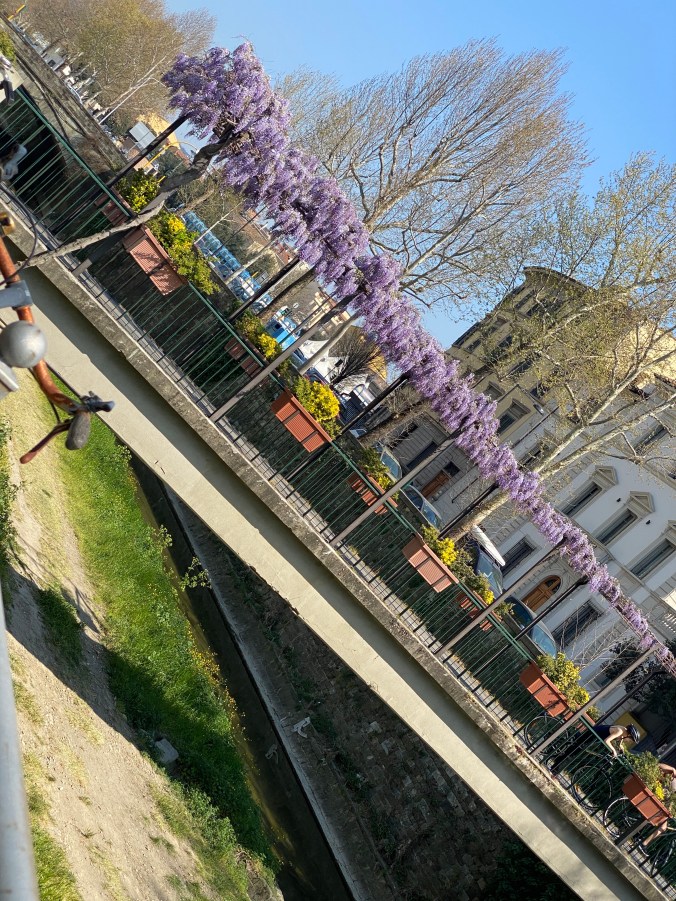 l3nZb+RtQ+G+LvgGSWUrxg