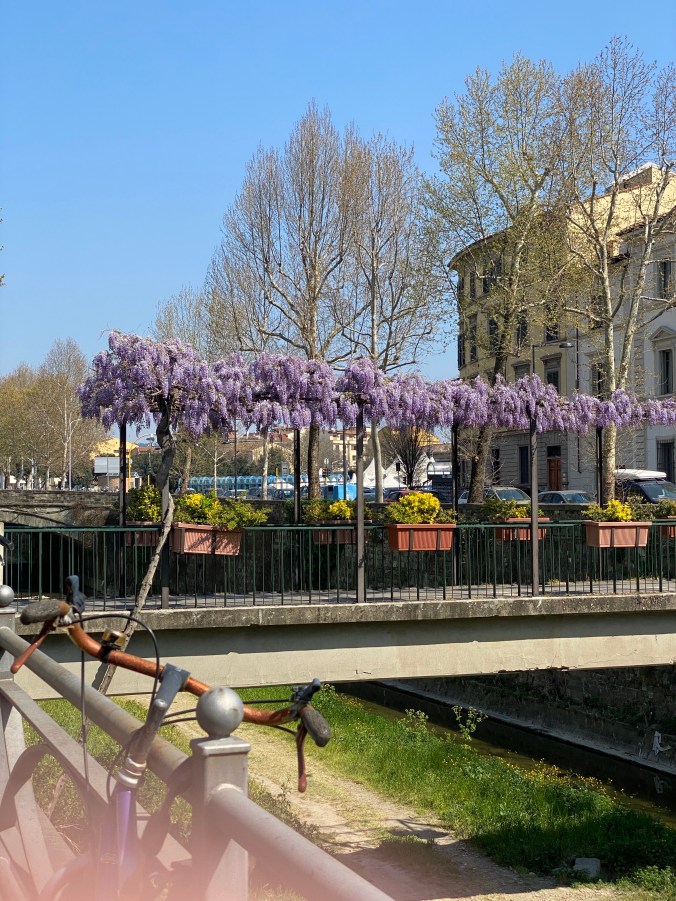 mtimp7oqS9uDCZpUeWJXdQ