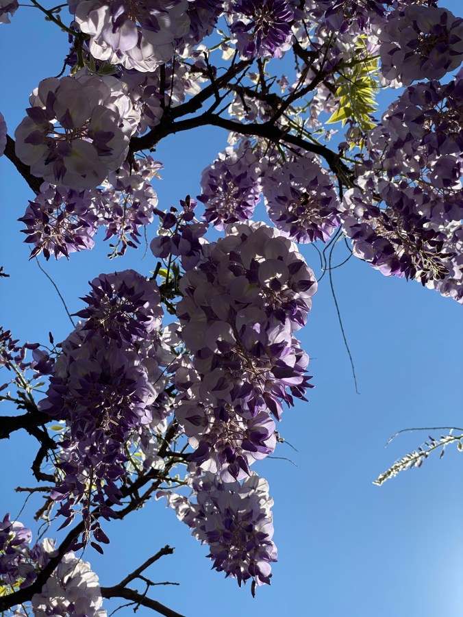 n3HadglGRfW29ld6xa0WfA