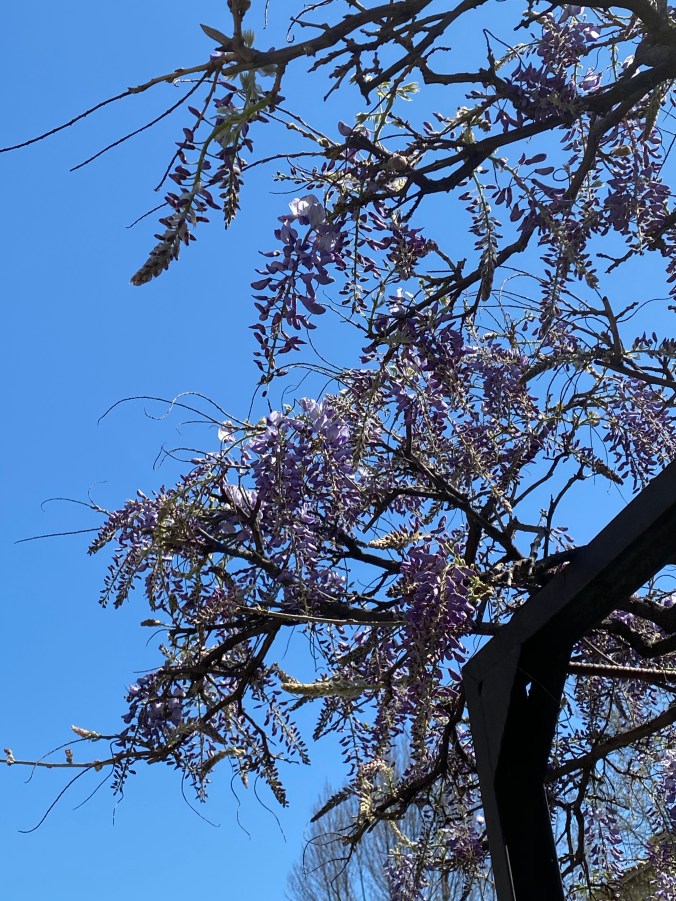 +OjTVaU8QeKtlxsj+4PE%g