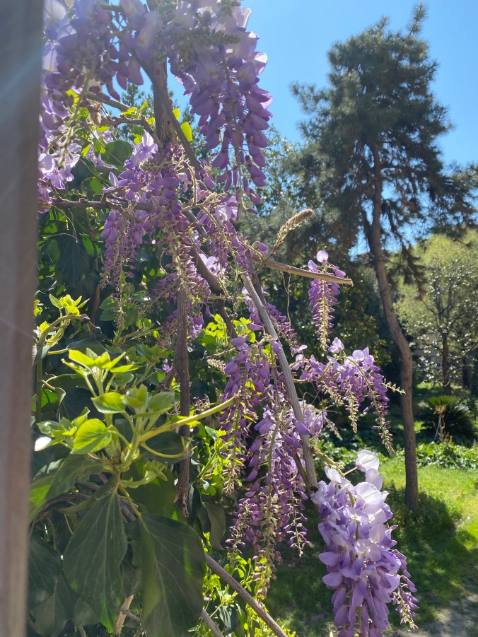 Ok2KnKG0Txq%shSVtyq7zw