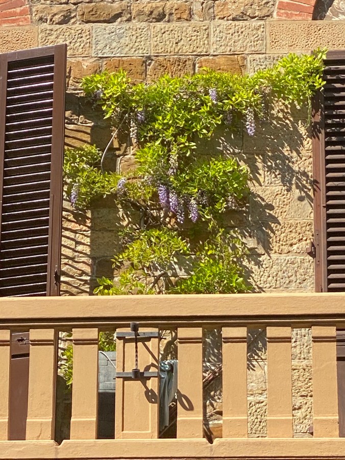 rz6oQaA2RJyhgeG7wCxVIg