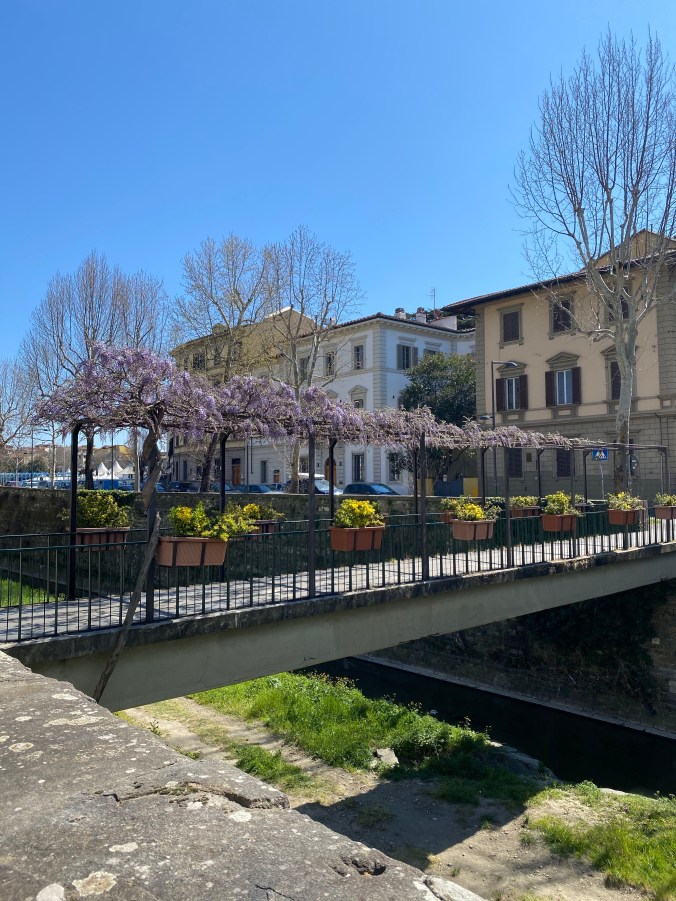 ScsjsKJURTiBsnpuuyfwjw