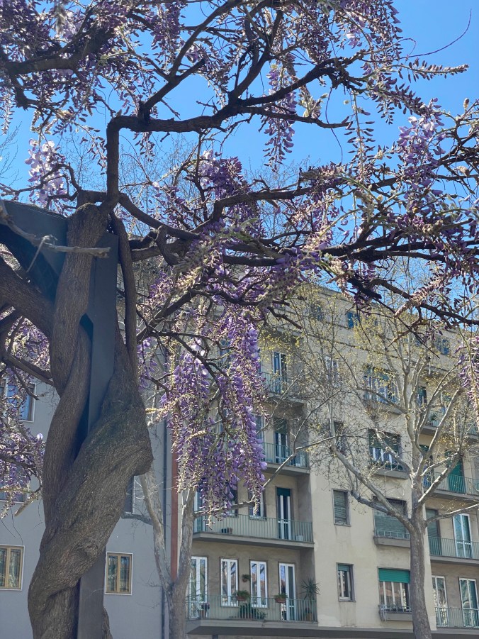 ZkwbQVCESUu%oFqMll23%A