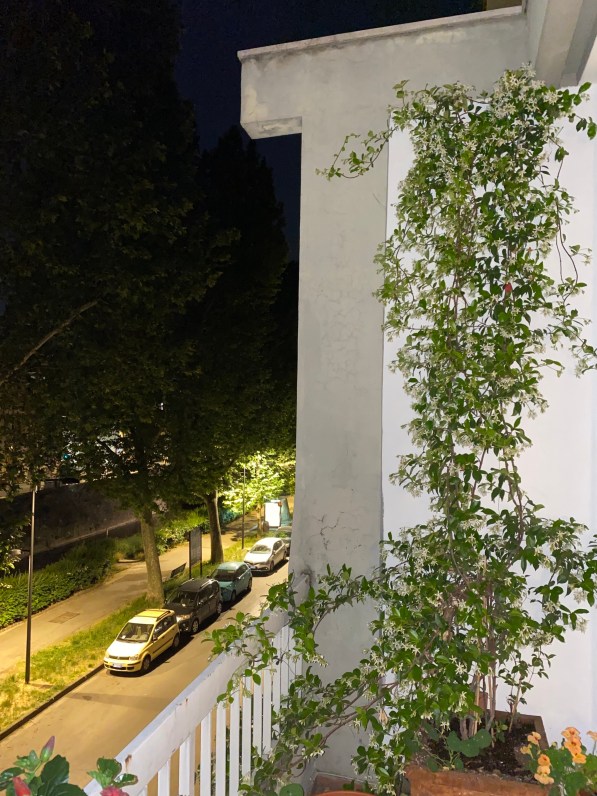 zmeuIsSzTfS2w73elBIyyw