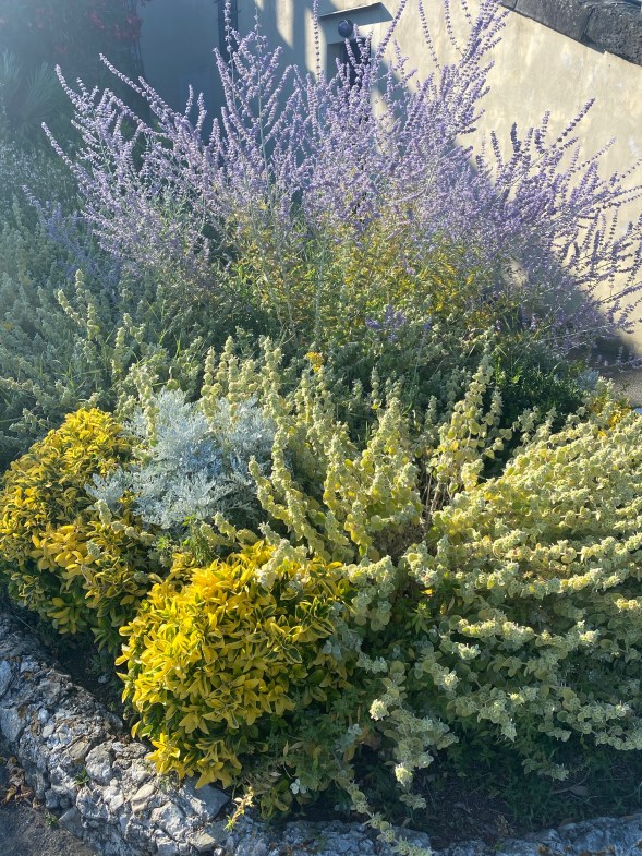 0knX4vAKScurkM8nq0Ul6Q