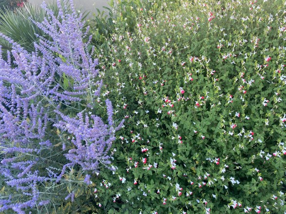 +fEHMGt7Ti+w68HqMRmGKQ