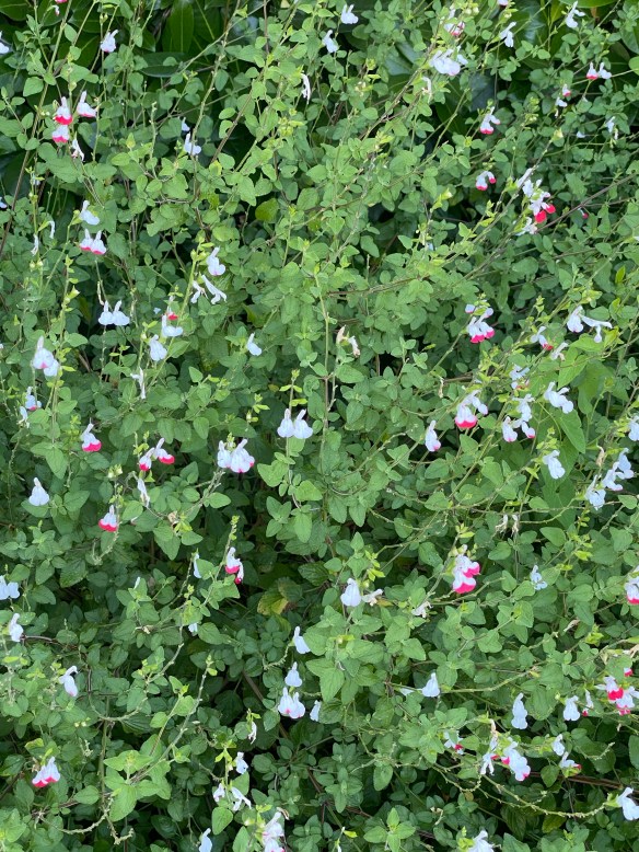 hpYLzE2XRvu9PhkR0jflUQ