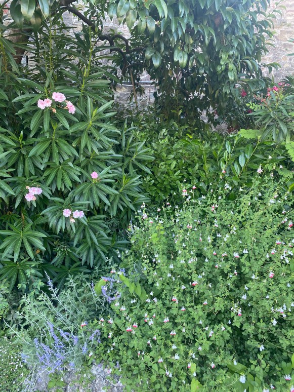 sUWnw40ASbu0oMgcHpeUig