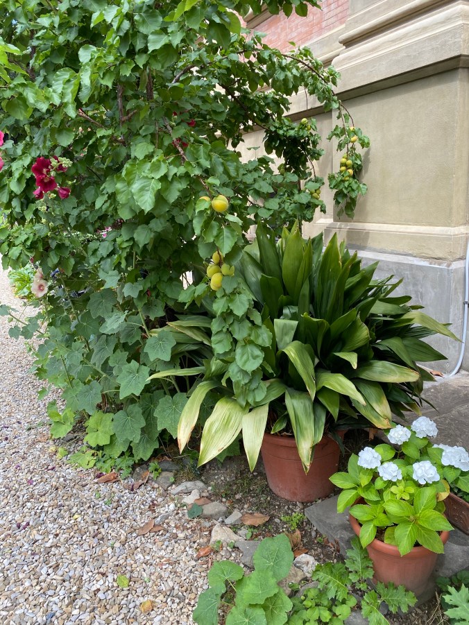 w4x3AsxOTeGBLBch1rLbAQ