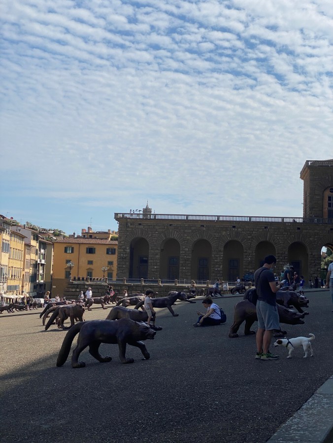 6ryLrQfuSJys3H+c+%Swow