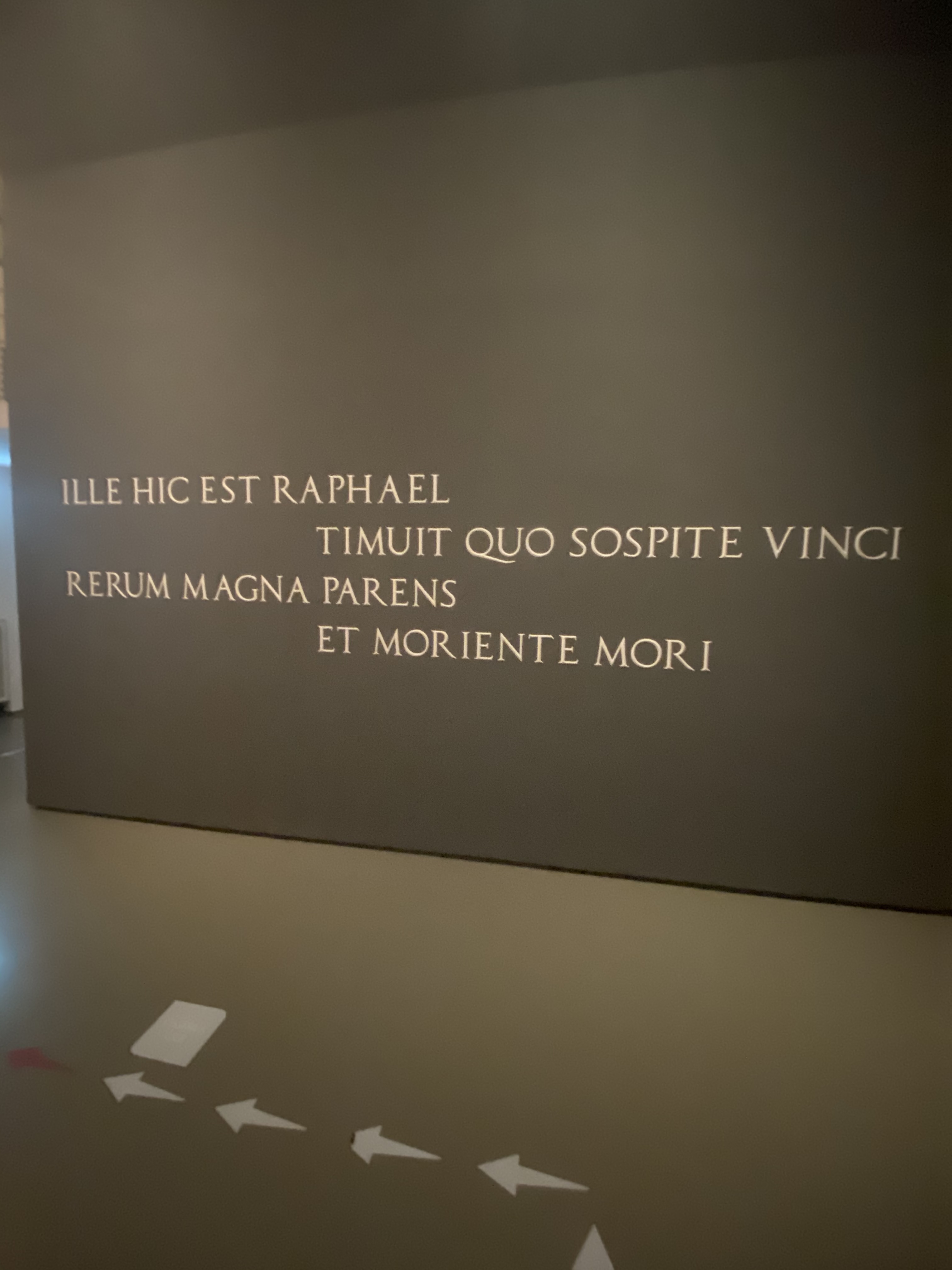 KmpeV9RpRa+7Qyrhj+xpLg